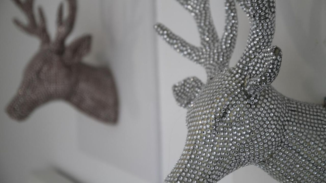 Detail Detail